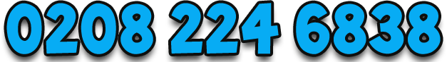 0208 224 6838